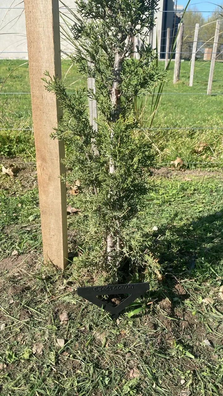 Esta imagen muestra una impresión 3d real, la cual cumple la función deCartel para plantas,creado por Portal Digital 3D en CABA.El diseño es proporcionado por el cliente o mismo un diseño personalizado.Servicio de impresión 3D en argentina